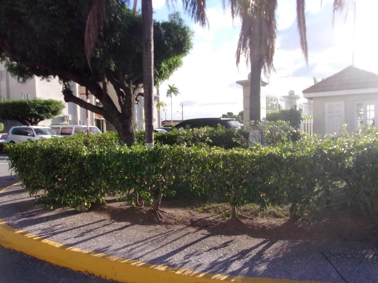 Central Oaklands Kingston Apt エクステリア 写真